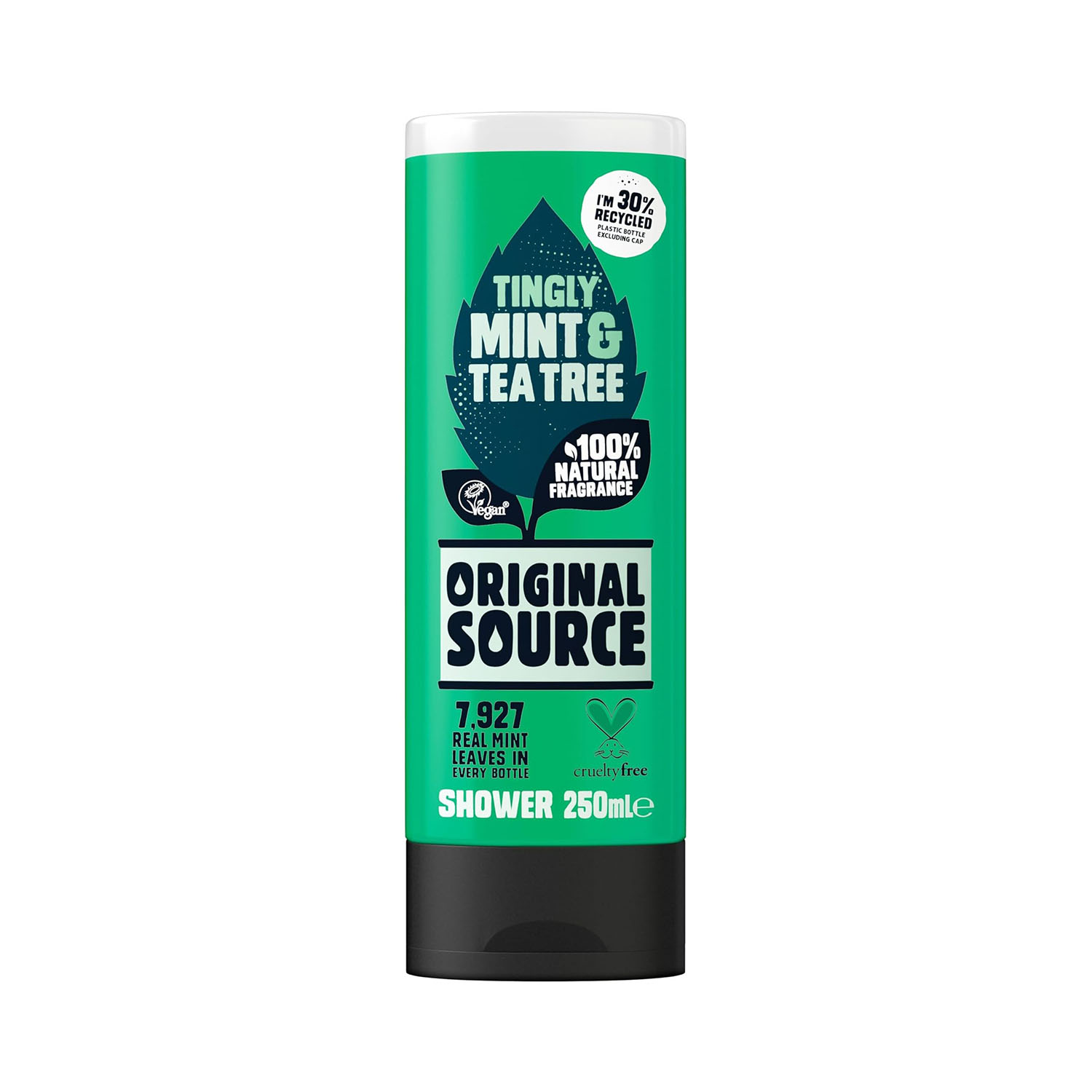 5000101845208 Original Source Mint Shower Gel 250ml - Image 1