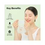 Beauty of Joseon Green Centella Asiatica Calming Mask 10 sheets - Image 5